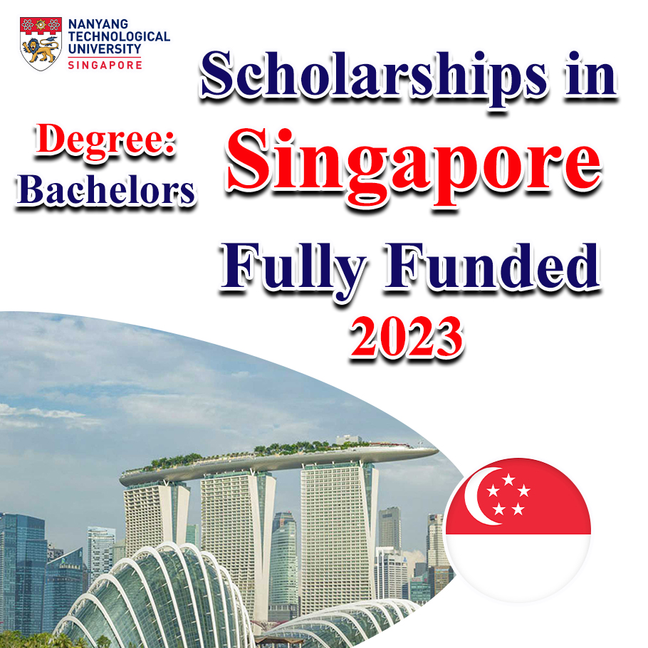 Nanyang Scholarship 2023