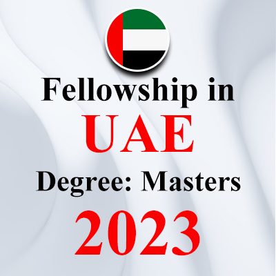 Merit Fellowship Award at United Arab Emirates University 2023