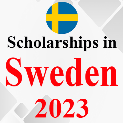 Wahlgrenska Foundation Scholarships 2023