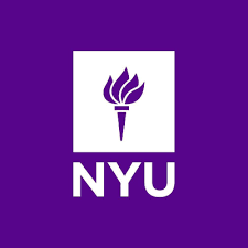 NYU Stern School of Business Berkley Scholars programme 2024