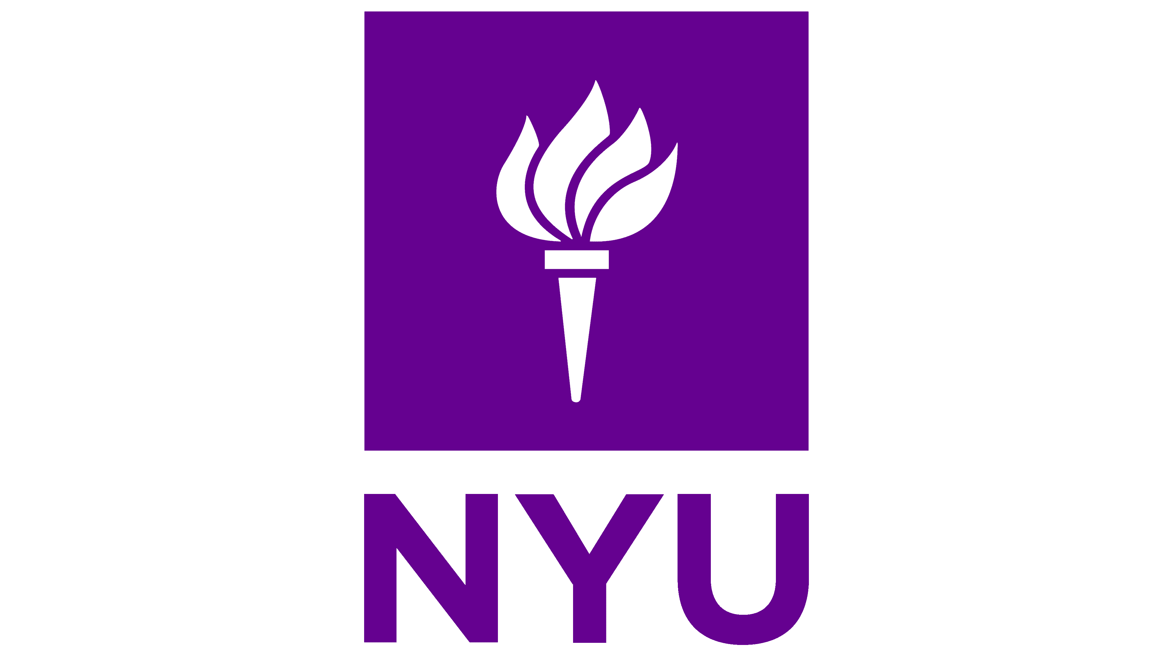 Falak Sufi Scholarship at New York University 2025