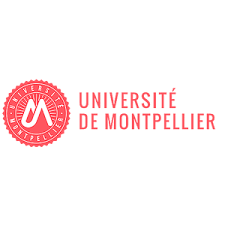 University of Montpellier